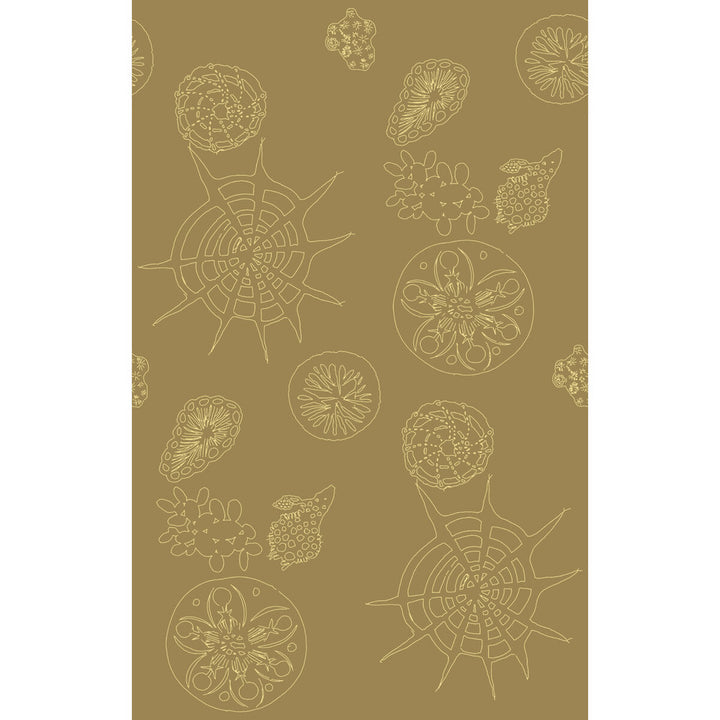 Telescopic P Sanddollar by Kravet Couture Wallcovering PAPERSCAPE ARTIST SERIES PAPER - 100% United States Horizontal: 27 and Vertical: 72 27 - Fabric Carolina -