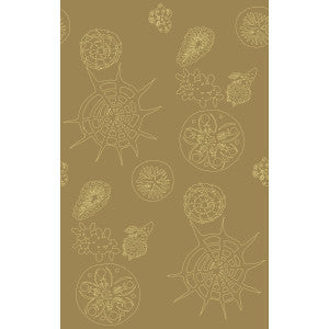Telescopic P Sanddollar by Kravet Couture Wallcovering