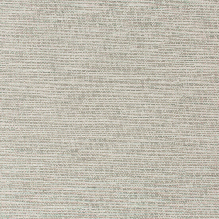 W3616-21 by Kravet Design Wallcovering CELLULOSE - 50%;OTHER - 30%;POLYESTER - 20% United Kingdom Horizontal: 0 and Vertical: 20.9 20.5 - Fabric Carolina -