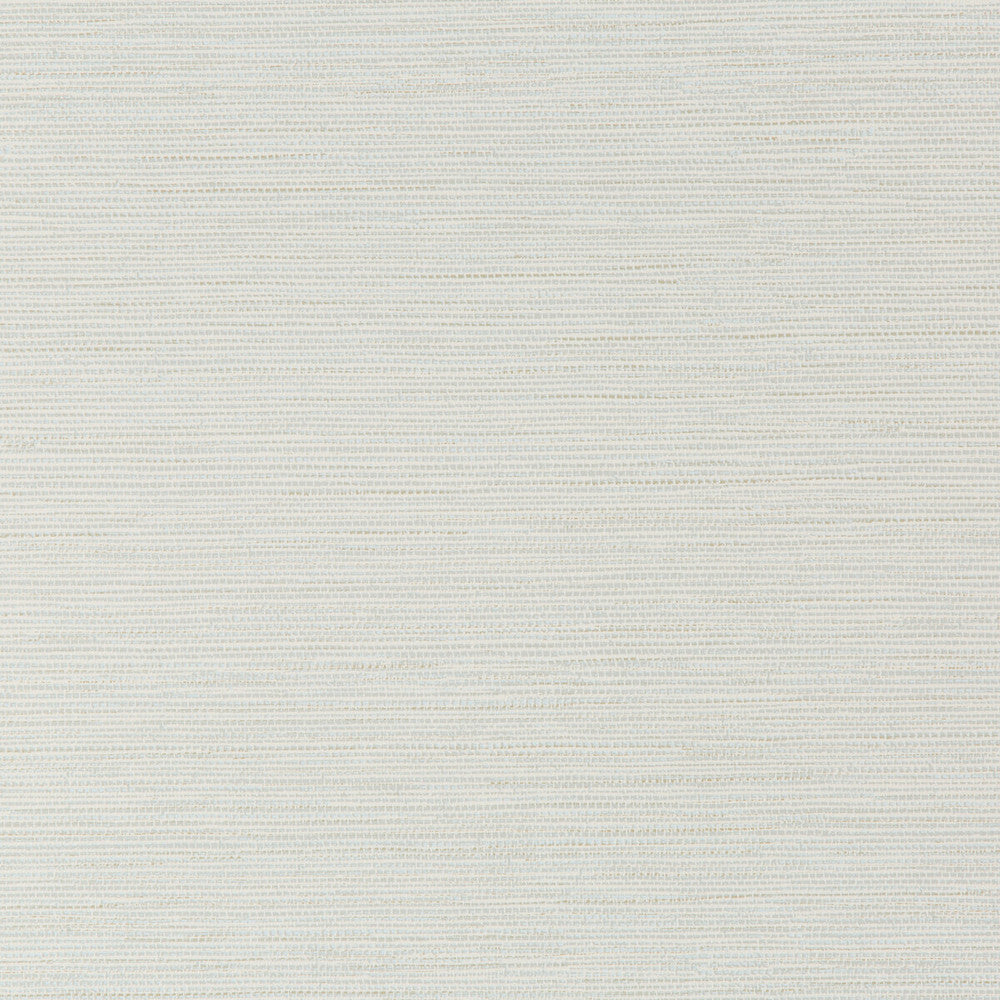 W3616-316 by Kravet Design Wallcovering CELLULOSE - 50%;OTHER - 30%;POLYESTER - 20% United Kingdom Horizontal: 0 and Vertical: 20.9 20.5 - Fabric Carolina -