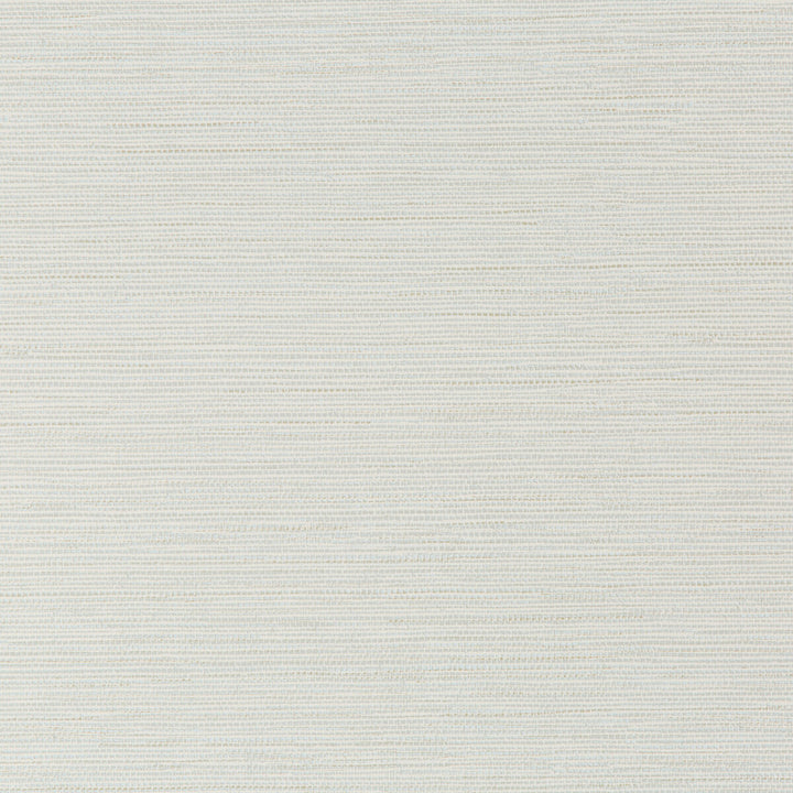 W3616-316 by Kravet Design Wallcovering CELLULOSE - 50%;OTHER - 30%;POLYESTER - 20% United Kingdom Horizontal: 0 and Vertical: 20.9 20.5 - Fabric Carolina -