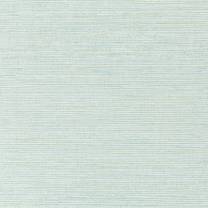 W3616-35 by Kravet Design Wallcovering CELLULOSE - 50%;OTHER - 30%;POLYESTER - 20% United Kingdom Horizontal: 0 and Vertical: 20.9 20.5 - Fabric Carolina -