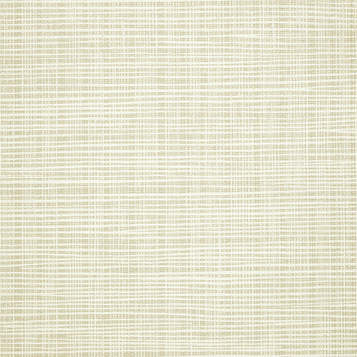 Kravet Design W3684-16 by Kravet Design Wallcovering Kravet Design Wallcovering Kravet Design W3684-16Wallcovering POLY VINYL CHLORIDE - 74.7%;RECYCLED POLY VINYL CHLORIDE - 8.3%;PVC COMPOUND - 6.9%;POLYESTER - 6.24%;OTHER - 2%;COTTON - 1.86% United States </p><p>Repeat: H: 0, V: 0 54 - Fabric Carolina -