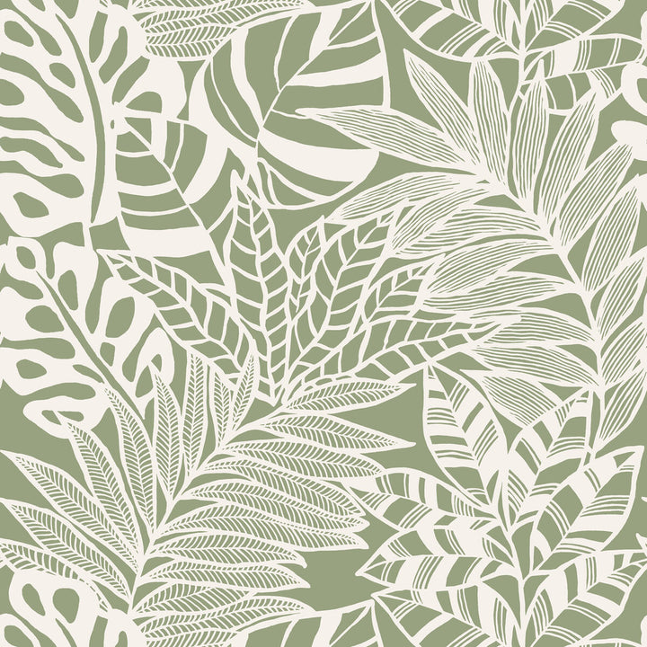 Kravet Design W3774-3 by Kravet Design Wallcovering Kravet Design Wallcovering Kravet Design W3774-3Wallcovering NON WOVEN - 100% United States </p><p>Repeat: H: , V: 25.25 27 - Fabric Carolina -