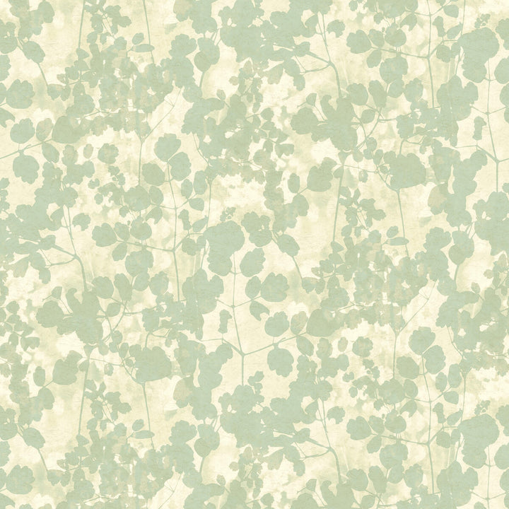 W3791-135 by Kravet Design Wallcovering CANDICE OLSON COLLECTION NON WOVEN - 100% United States Horizontal: and Vertical: 20.5 27 - Fabric Carolina -