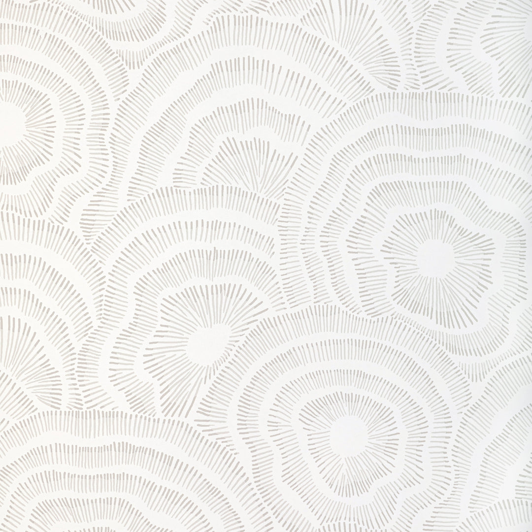 Panache - Onyx By Kravet Couture Fabric