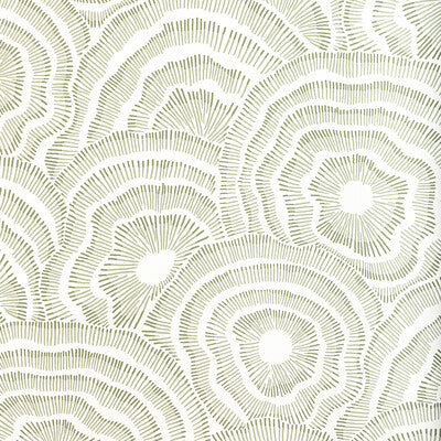 W3823.123.0 by Kravet Wallcovering Kravet Wallcovering W3823.123.0Wallcovering COREY DAMEN JENKINS TRAD NOUVEAU CELLULOSE - 85%;POLYESTER - 15% United States </p><p>Repeat: H: 27, V: 25.25 27 - Fabric Carolina -
