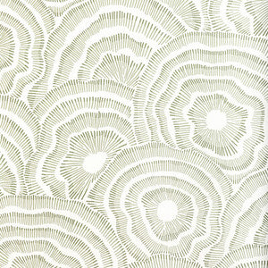 Panache Wp Leaf by Kravet Wallcovering