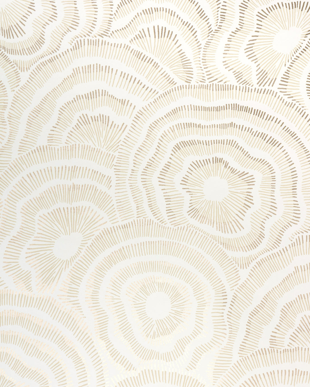 Champagne By Kravet Couture Wallcovering
