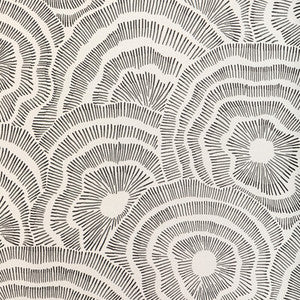 Panache Wp Noir by Kravet Wallcovering