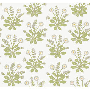 W3928 303 W3928.303.0 by Kravet Design Wallcovering