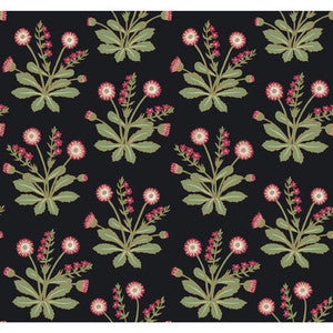 W3928 817 W3928.817.0 by Kravet Design Wallcovering
