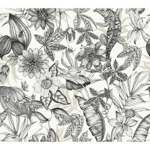 Kravet Design W4131-8 W4131.8.0 by Kravet Design Wallcovering