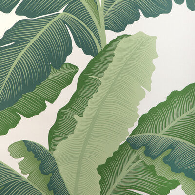 Kravet Couture - Wallcovering - W4151.33.0 - Wallcovering - WOOD PULP - 45%;BINDER - 20%;MINERAL FILLERS - 20%;POLYESTER - 15% - United Kingdom </p><p>Repeat: H: , V: 27.5 21 - My Fabric Connection -