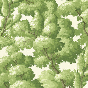 Kravet Design W4193-340 W4193.340.0 by Kravet Design Wallcovering