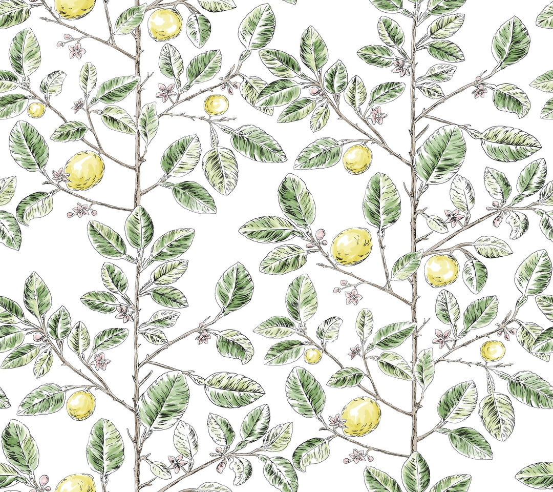 W4241-340 By Kravet Design Wallcovering