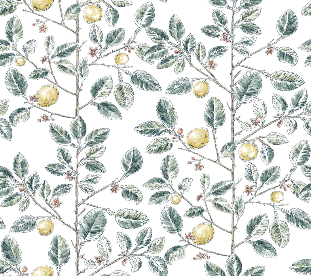 W4241-354 By Kravet Design Wallcovering