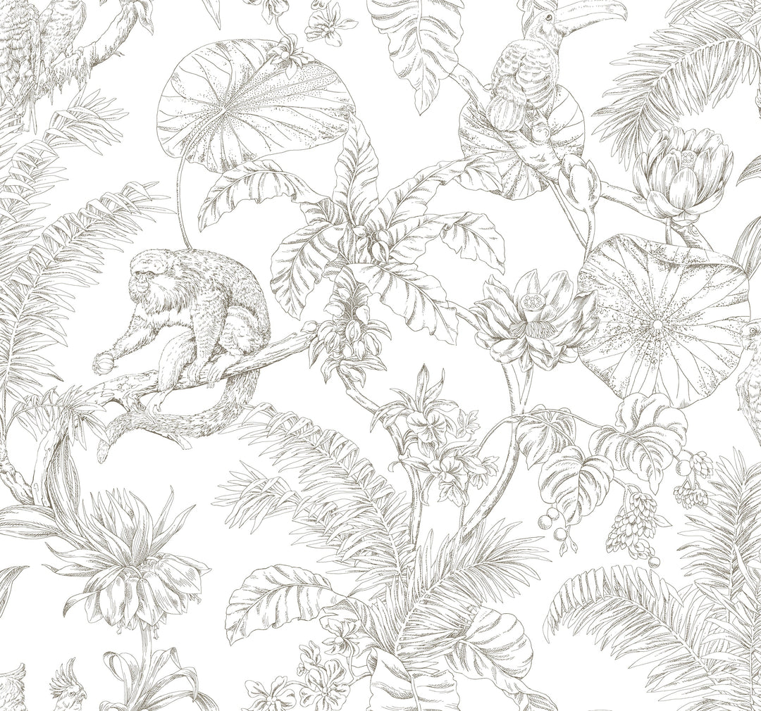 W4250-6 By Kravet Design Wallcovering