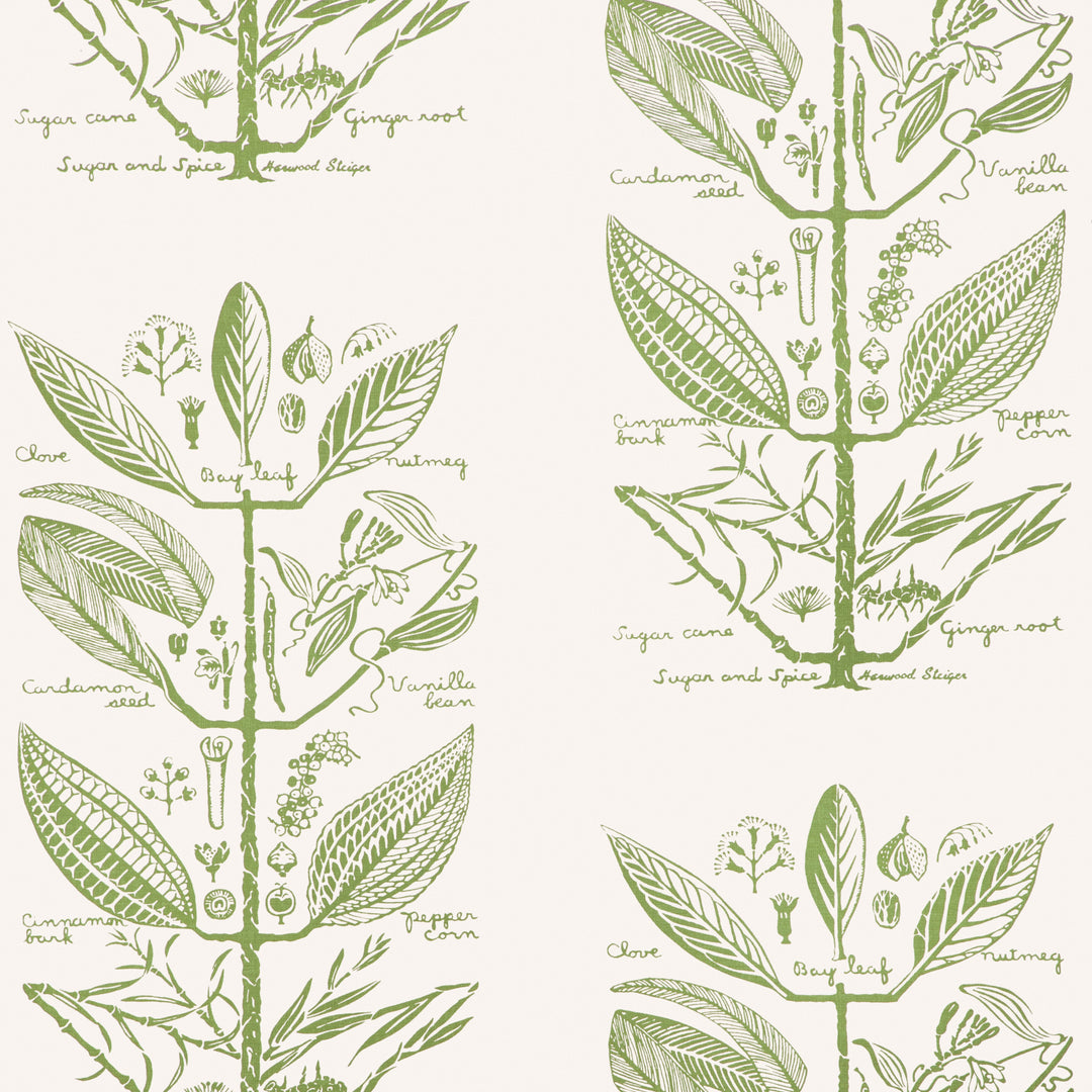 Cactus By Kravet Couture Wallcovering