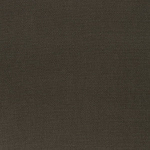 Prisma Espresso W70111 by Thibaut Fabric