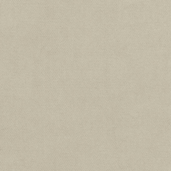 Club Velvet Oyster W7222 by Thibaut Fabric Thibaut Fabric Club Velvet Oyster W7222Fabric Club Velvet 70% Recycled PET Polyester, 30% Virgin Polyester NETHERLANDS </p><p>Repeat: V: - 54 - Fabric Carolina -