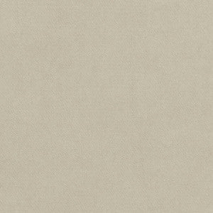 Club Velvet Oyster W7222 by Thibaut Fabric