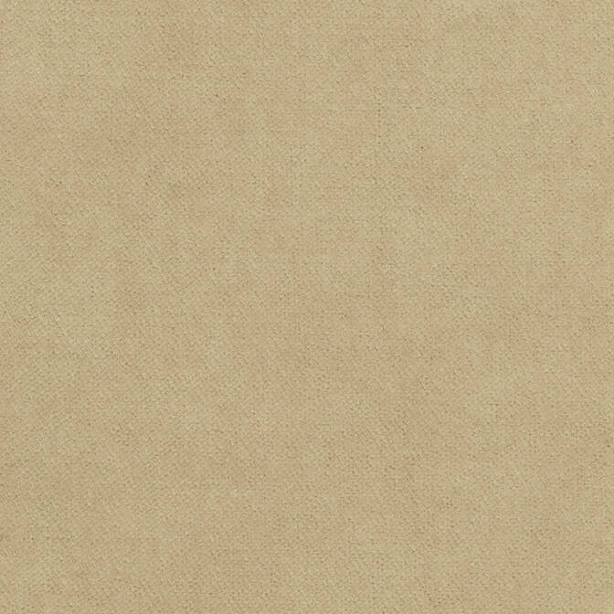 Club Velvet Fawn W7223 by Thibaut Fabric Thibaut Fabric Club Velvet Fawn W7223Fabric Club Velvet 70% Recycled PET Polyester, 30% Virgin Polyester NETHERLANDS </p><p>Repeat: V: - 54 - Fabric Carolina -