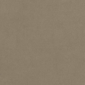 Club Velvet Taupe W7225 by Thibaut Fabric