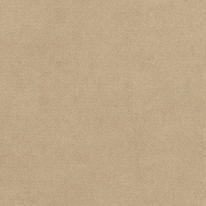 Club Velvet Sand W7231 by Thibaut Fabric