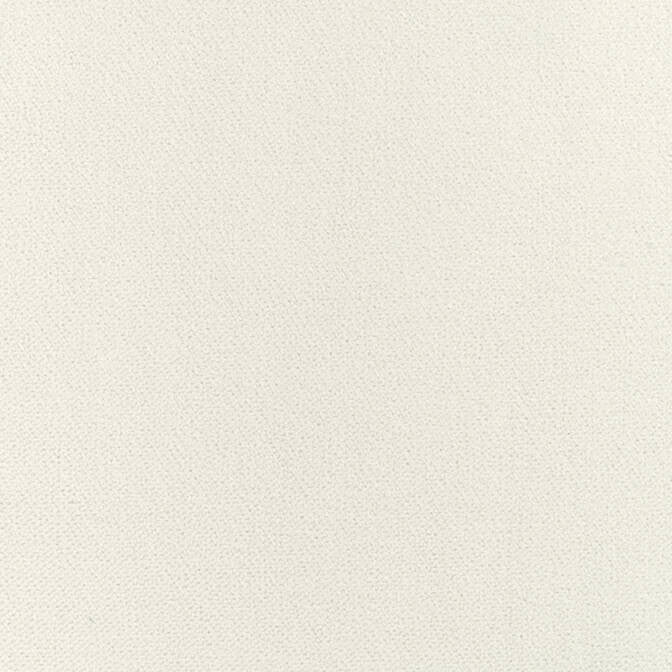 Club Velvet Ivory W7233 by Thibaut Fabric Thibaut Fabric Club Velvet Ivory W7233Fabric Club Velvet 70% Recycled PET Polyester, 30% Virgin Polyester NETHERLANDS </p><p>Repeat: V: - 54 - Fabric Carolina -