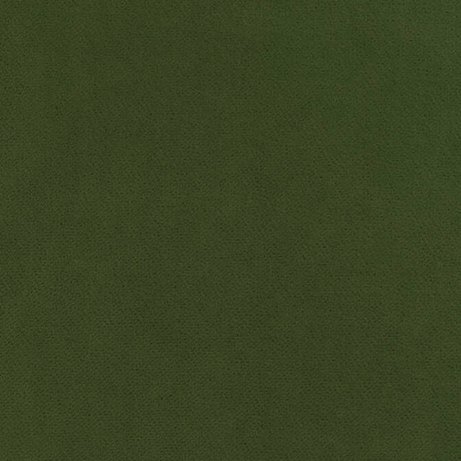 Club Velvet Ivy W7253 by Thibaut Fabric Thibaut Fabric Club Velvet Ivy W7253Fabric Club Velvet 70% Recycled PET Polyester, 30% Virgin Polyester NETHERLANDS </p><p>Repeat: V: - 54 - Fabric Carolina -