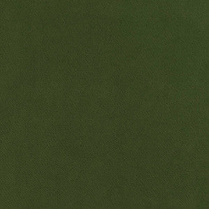 Club Velvet Ivy W7253 by Thibaut Fabric