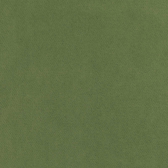 Club Velvet Celadon W7257 by Thibaut Fabric Thibaut Fabric Club Velvet Celadon W7257Fabric Club Velvet 70% Recycled PET Polyester, 30% Virgin Polyester NETHERLANDS </p><p>Repeat: V: - 54 - Fabric Carolina -