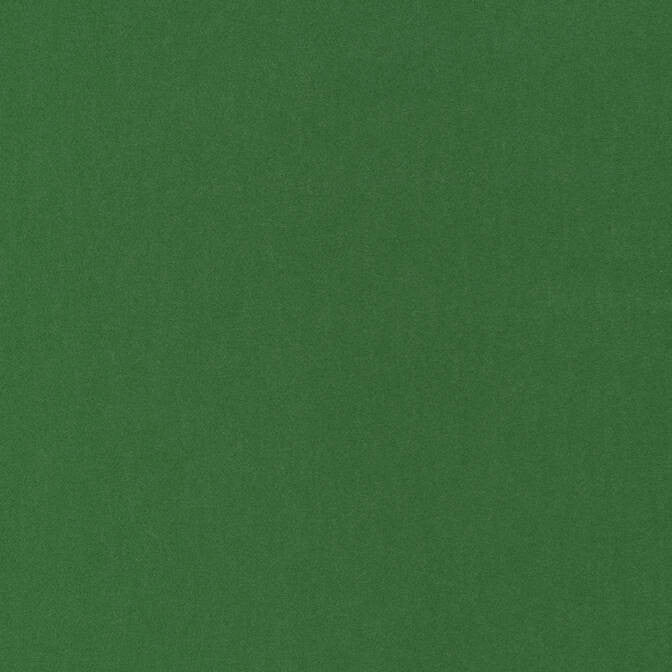 Miles Mohair Velvet Emerald W72821 by Thibaut Fabric Thibaut Fabric Miles Mohair Velvet Emerald W72821Fabric Woven Res 13: Fusion Velvet 51% Mohair, 49% Cotton NETHERLANDS </p><p>Repeat: V: - 54 - Fabric Carolina -