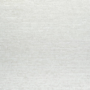 Milo Salt W73319 by Thibaut Fabric