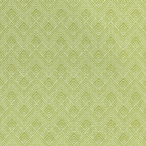 Maddox Leaf W73330 by Thibaut Fabric