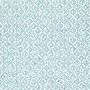 Trion Aqua W73457 by Thibaut Fabric
