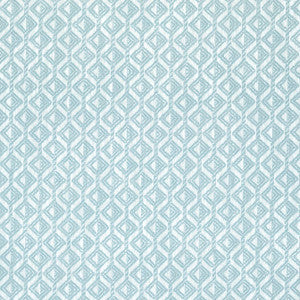 Trion Aqua W73457 by Thibaut Fabric