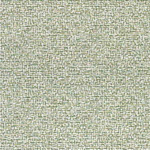 Mandela Emerald W74052 by Thibaut Fabric