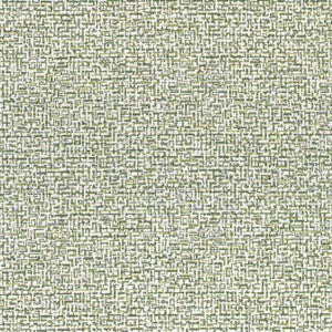 Mandela Emerald W74052 by Thibaut Fabric
