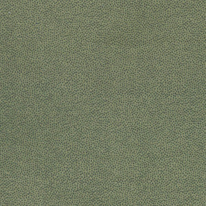 Nala Emerald W74078 by Thibaut Fabric