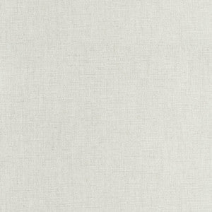 Ambient Platinum W75205 by Thibaut Fabric