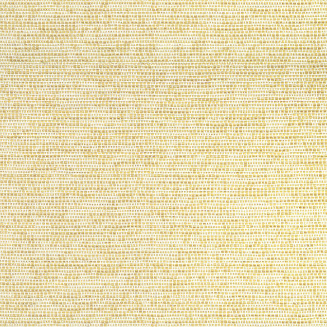 Borealis Buttercup W75232 by Thibaut Fabric Thibaut Fabric Borealis Buttercup W75232Fabric Elements 59% Cotton, 41% Polyester U.S.A. </p><p>Repeat: V: 32 54 - Fabric Carolina -