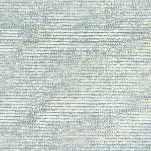 Borealis Seaglass W75234 by Thibaut Fabric