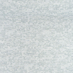 Borealis Glacier W75235 by Thibaut Fabric