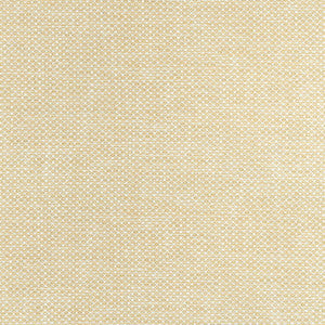 Cascade Straw W75262 by Thibaut Fabric