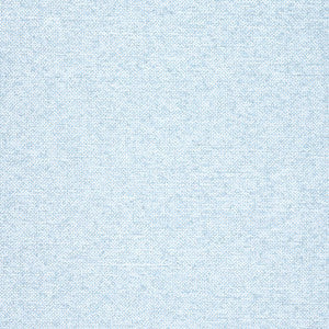 Sasso Powder W77107 by Thibaut Fabric
