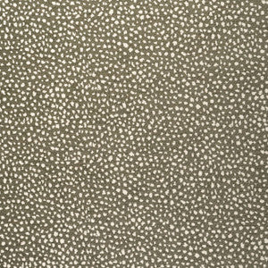 Fawn Hickory W78349 by Thibaut Fabric