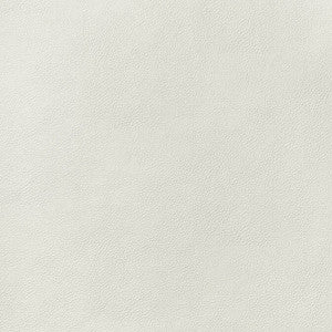 Arcata Ivory W78381 by Thibaut Fabric