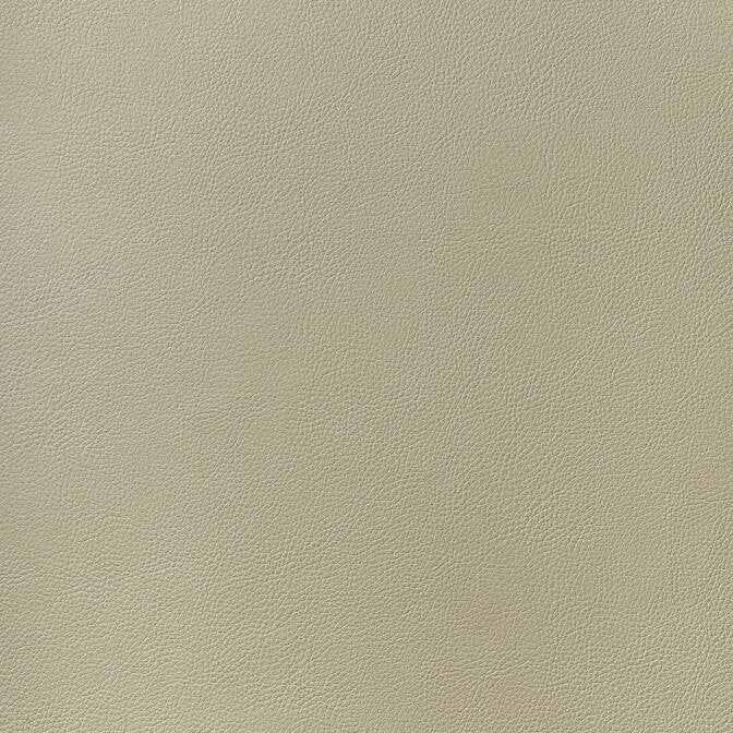 Arcata Dune W78383 by Thibaut Fabric Thibaut Fabric Arcata Dune W78383Fabric Sierra 80% Thermo PU, 20% Polyester KOREA </p><p>Repeat: V: - 54 - Fabric Carolina -